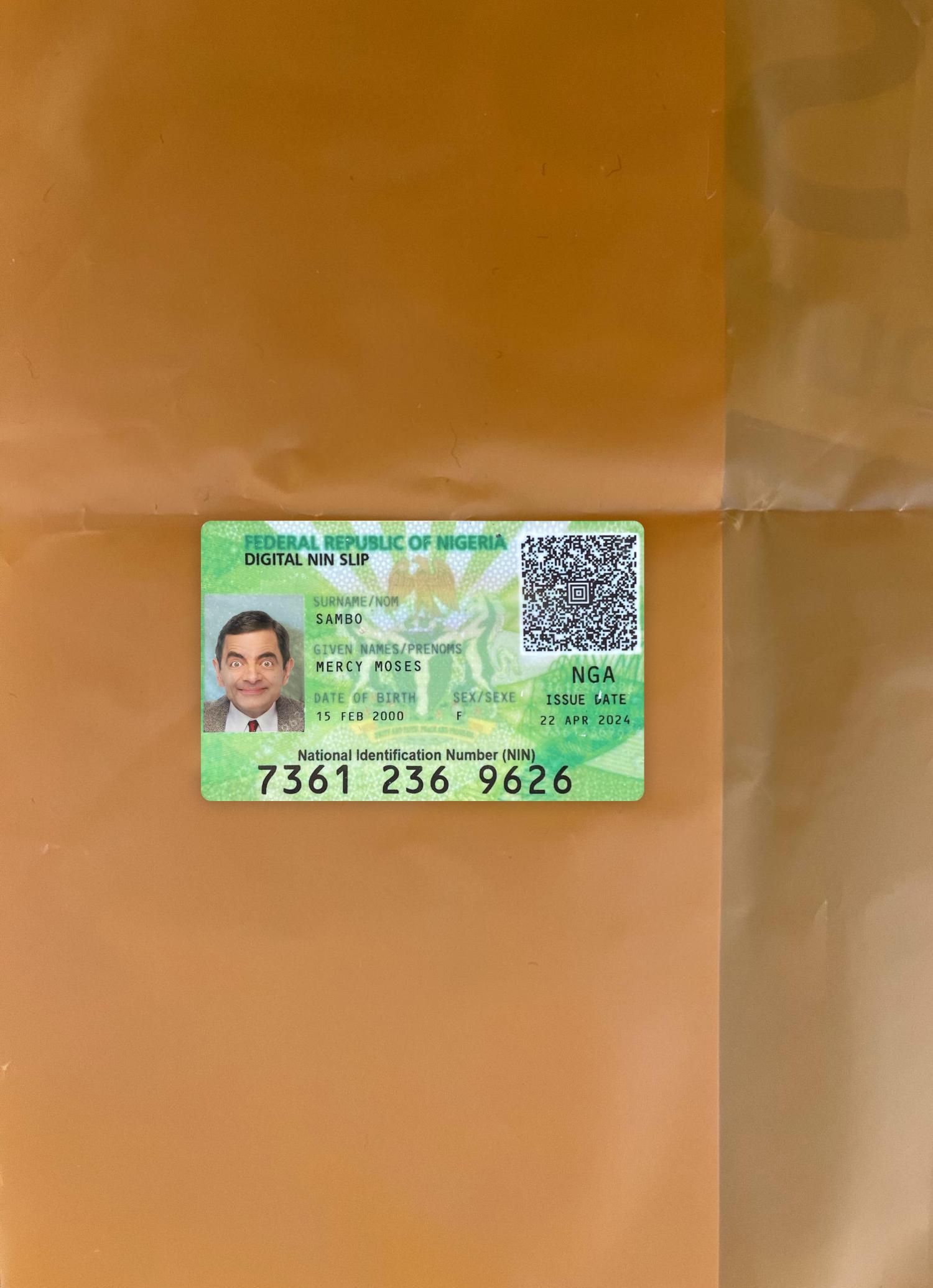 Realistic Nigeria digital NIN slip card photolook example